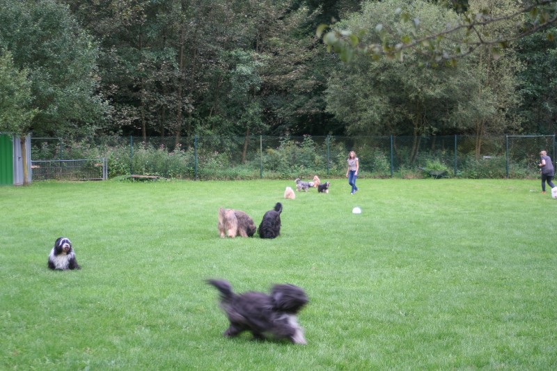../Images/Bild 018.jpg